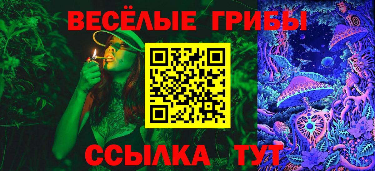 Пенза  Галлюциногенные грибы Magic Shrooms  Галлюциногенные грибы Cubensis  Вход с VPN 